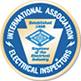 IAEI logo